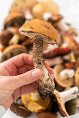 Wild mushrooms