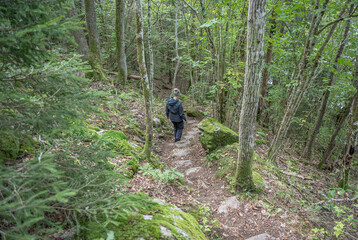 Fototapeta premium Girl hiking at Lake Ragnerudssjoen in Dalsland Sweden beautiful nature forest pinetree swedish