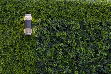 muro verde artificial con lámpara de jardín - obrazy, fototapety, plakaty