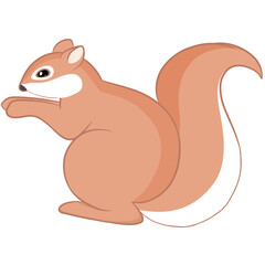Squirrel cartoon 