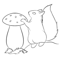 Squirrel and mushroom sketch drawing illustration 