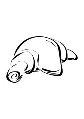 Croissant 