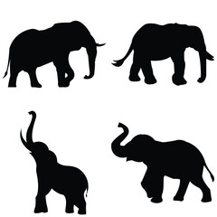 set of elephants