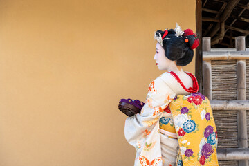 京都祇園の舞妓のイメージ