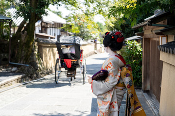 Fototapeta na wymiar 京都祇園の舞妓のイメージ