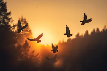 Fotobehang dark silhouette image of a birds flying in the sky.  © 92ashrafsoomro