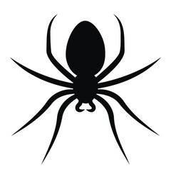 Top view of spider silhouette. Insect in flat style.