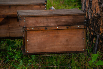 Close-up of wooden box for beekeeping