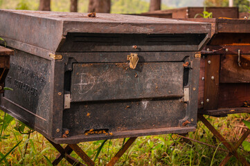 Close-up of wooden box for beekeeping