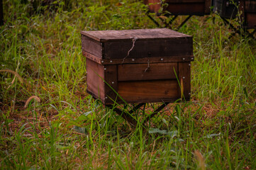 Close-up of wooden box for beekeeping