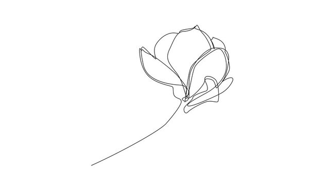 Continuous Line Magnolia Flower Vector Icon, Monoline Flowering Magnolia Stellata, One Line Star Magnolia Silhouette