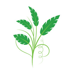 green leaves vector