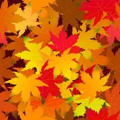 Fototapeta premium Autumn maple leaves seamless pattern