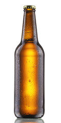 Beer bottle transparent