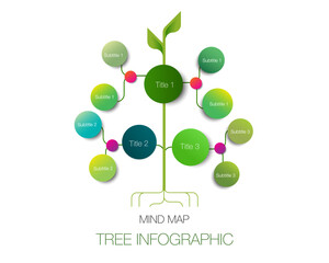 tree shape mind map infographic connection and chart table for , digital marketing diagram framework vision, percentage, design for business concept.