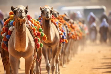 Türaufkleber Beautifully decorated camels at a festival in the desert. © Fotograf
