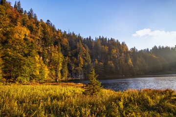 Majestic Lakes - Taubensee