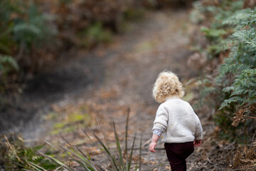 toddler hiking in the forest on a path. kids walking in the forest