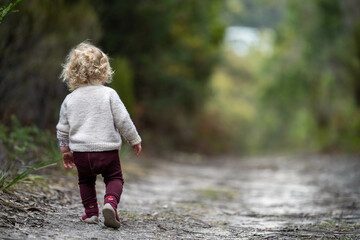 toddler hiking in the forest on a path. kids walking in the forest