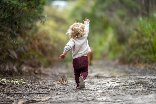 toddler hiking in the forest on a path. kids walking in the forest