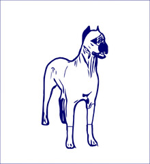 sketches of dogs in various positions with transparent background