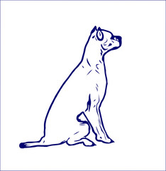 sketches of dogs in various positions with transparent background