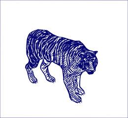 sketch of a tiger with a transparent background