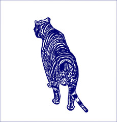 sketch of a tiger with a transparent background