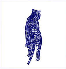 sketch of a tiger with a transparent background