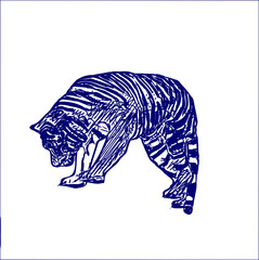 sketch of a tiger with a transparent background