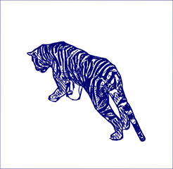 sketch of a tiger with a transparent background