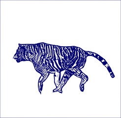 sketch of a tiger with a transparent background