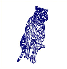 sketch of a tiger with a transparent background