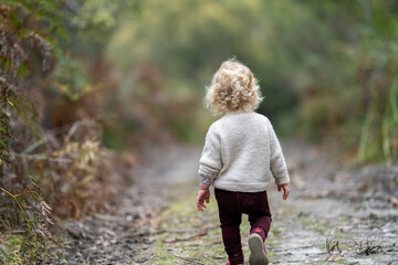 toddler hiking in the forest on a path. kids walking in the forest