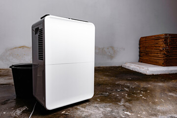 The dehumidifier works in a room with a mold and water on the floor.
