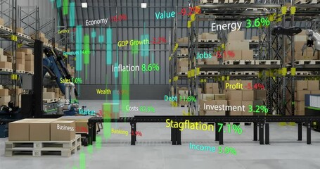 Animation of statistics and financial data processing over warehouse - Powered by Adobe