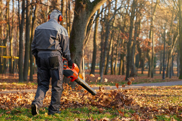 Anonymous male municipal worker cleaning up resting area in autumn day. Back view of man wearing overalls and earmuffs using leaf blower equipment, working outdoor. Concept of seasonal work.