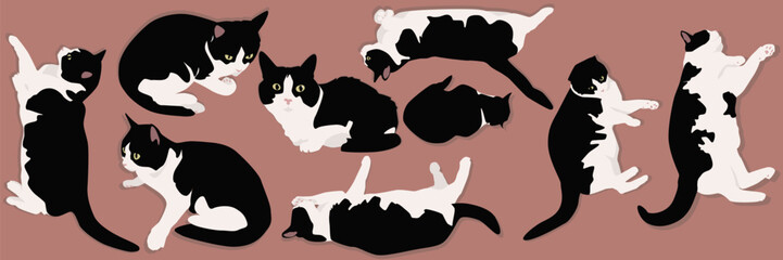 Black and white cat. Cat in different poses. Vector illustration.