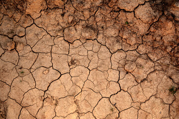 Dry ground as background. The concept of thirst, dehydration. - 646696473