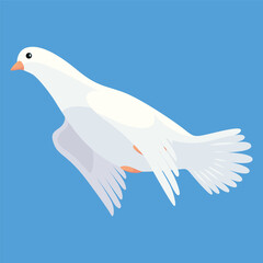 Pigeon animation. Bird motion wings in heaven. Flying migratory pigeon, cartoon vector illustration. Bird dove animation element