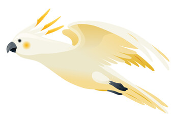 Parrot animation. Exotic adorable fauna character flight. White sulphur crested cockatoo. Animated tropical bird flying © designer_things