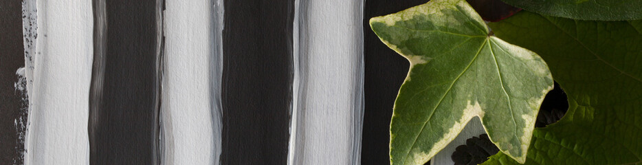 Green and green-cream leaf on a background of black and white vertical stripes.