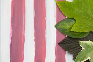 Four leaves of different colors and shapes on a background of pink and white vertical stripes. Top view, background.