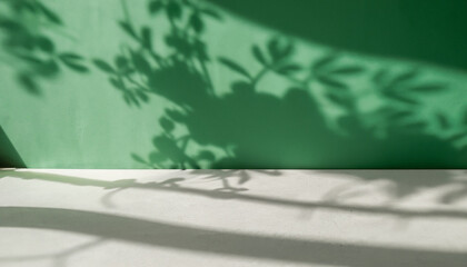 Minimal abstract green background for product presentation. Shadow and light from windows on plaster wall. The backdrop for product presentation, Product showcase background wall.