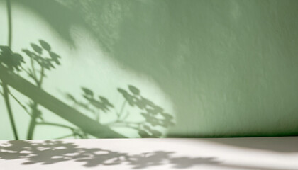 Minimal abstract green background for product presentation. Shadow and light from windows on plaster wall. The backdrop for product presentation, Product showcase background wall.