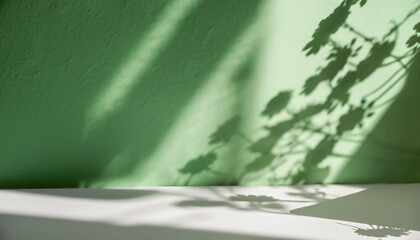 Minimal abstract green background for product presentation. Shadow and light from windows on plaster wall. The backdrop for product presentation, Product showcase background wall.