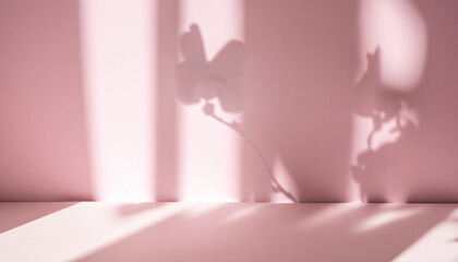 Minimal abstract pink background for product presentation. Shadow and light from windows on plaster wall. The backdrop for product presentation, Product showcase background wall.