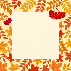 autumn, leaf, vector, background, fall, card, rowan, maple, border, frame, foliage, october, color, red, golden, yellow, decoration, nature, plant, design, season, abstract, illustration, floral, oran