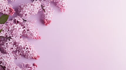 Fotobehang Beautiful spring lilac flowers background. Floral frame © Natia