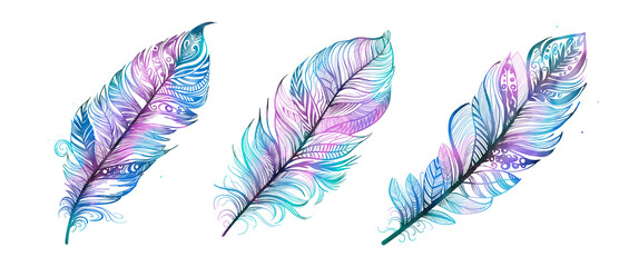 Watercolor Feathers in Boho Style